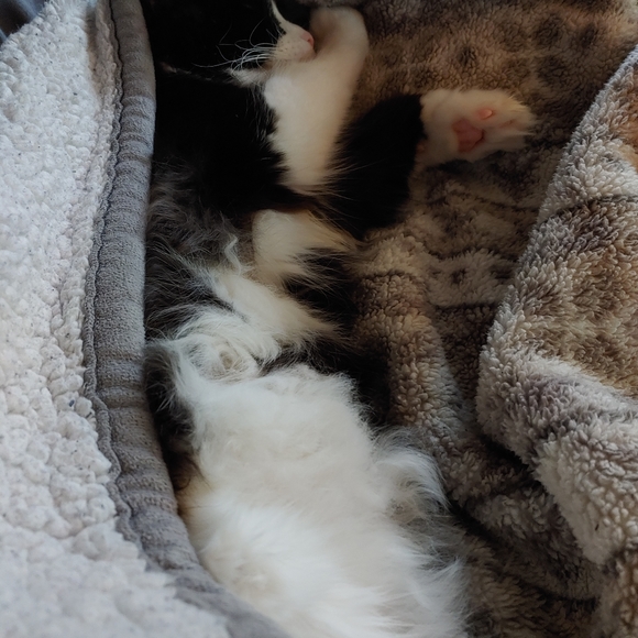 Lazy TV day๐๐บ ๐ - Picture 13 of 16